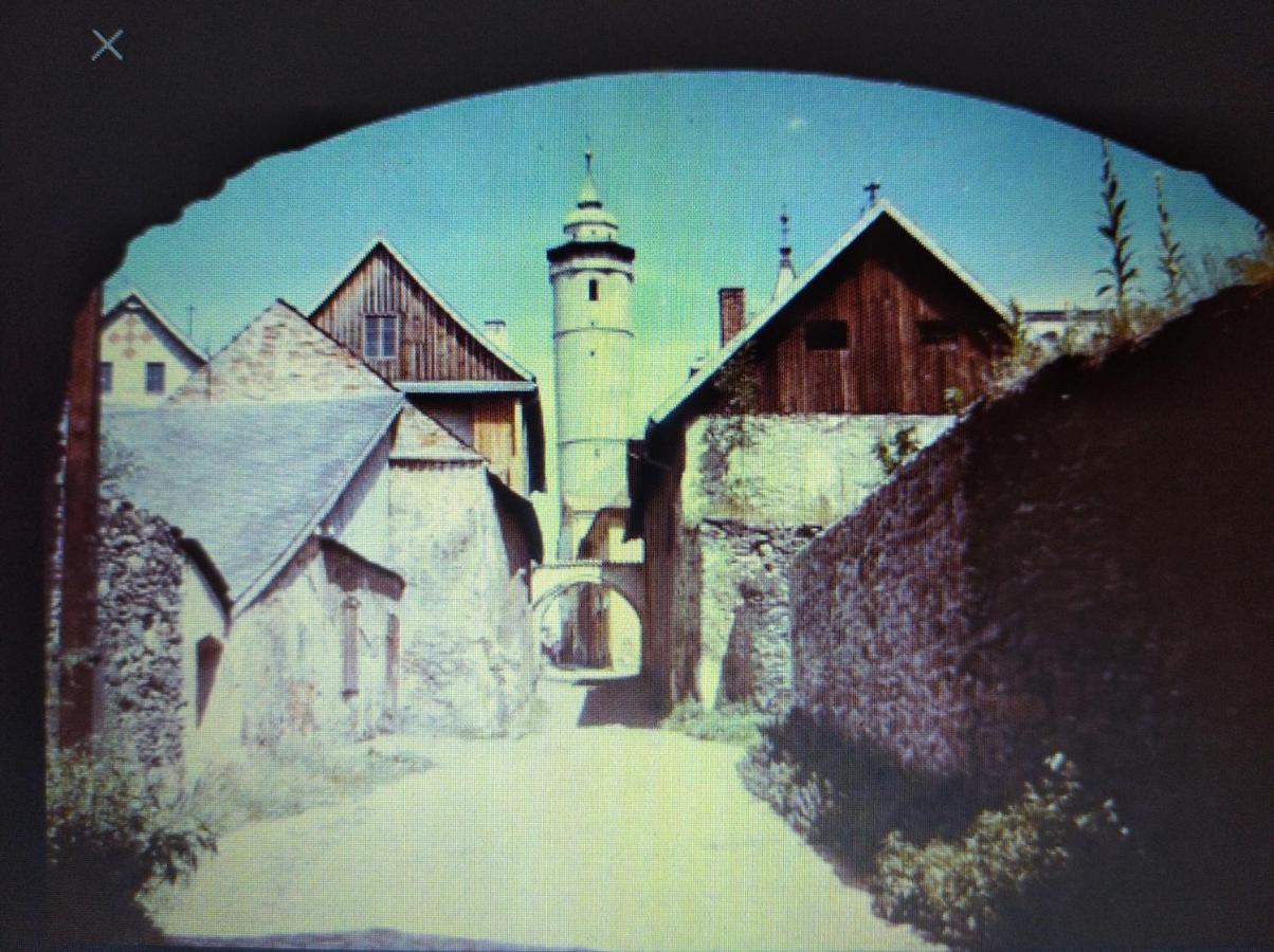Konselsky Senk Domazlice Hotel Buitenkant foto